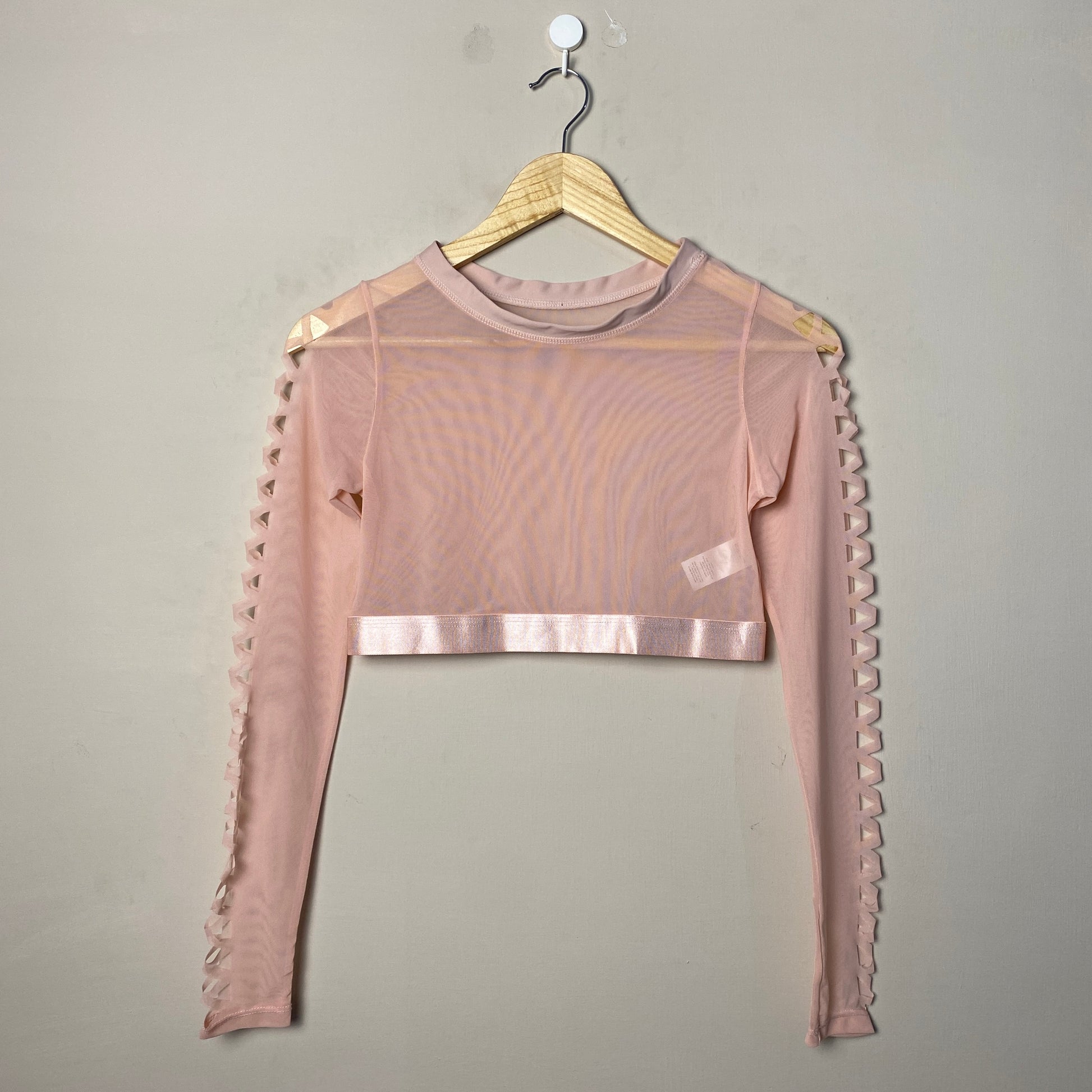 blush-pink-sheer-lattice-sleeve-crop-top-202